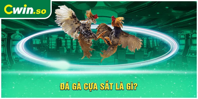 Đá gà cựa sắt là gì?