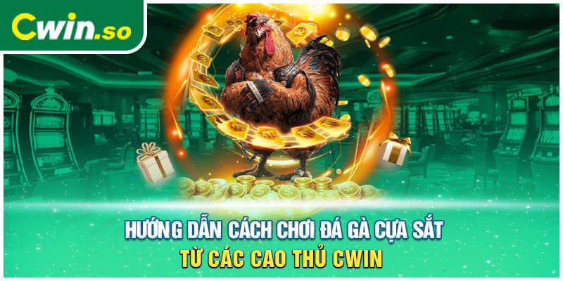 Hướng Dẫn Cách Chơi Đá Gà Cựa Sắt Từ Các Cao Thủ CWIN